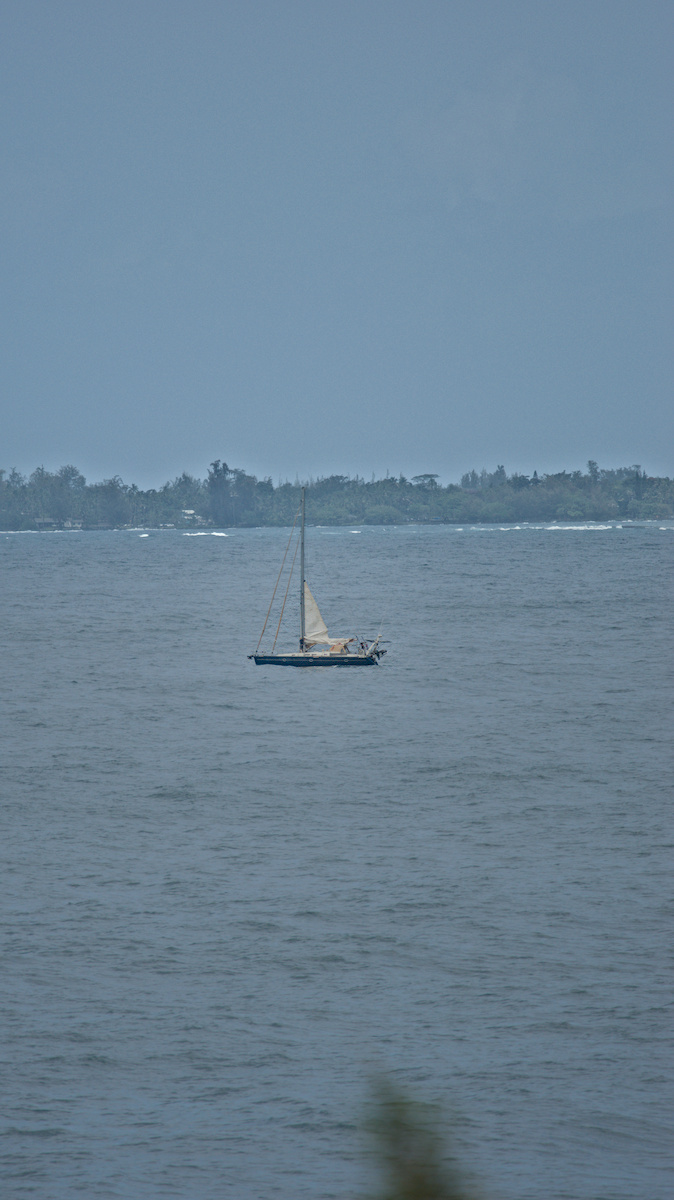 2025-06-05-131527-DSC_5994.jpg