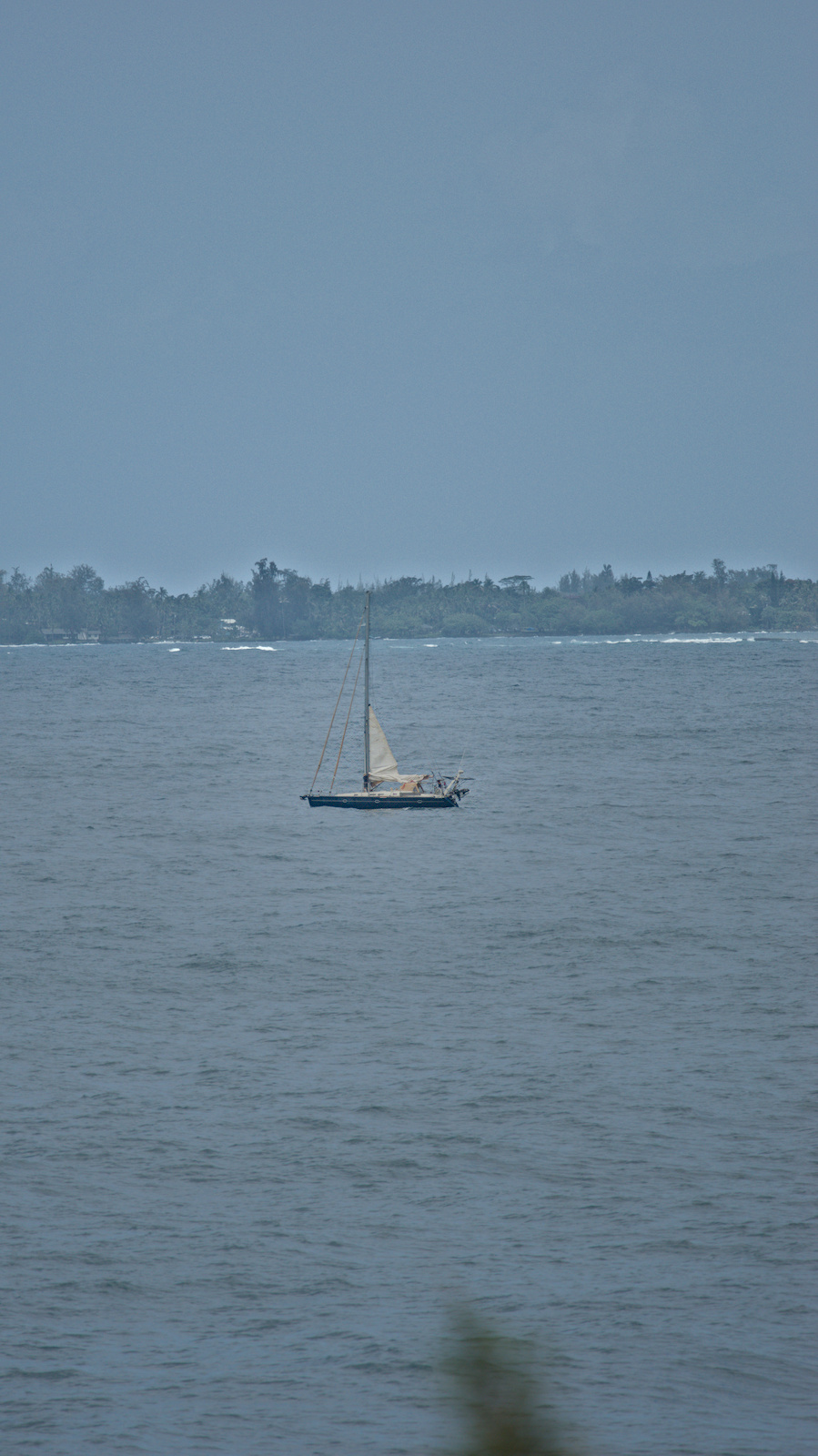 2025-06-05-131527==Nikon=D5600=1_1250=4.0=300.0mm=110_ISO=DSC_5994.jpg
