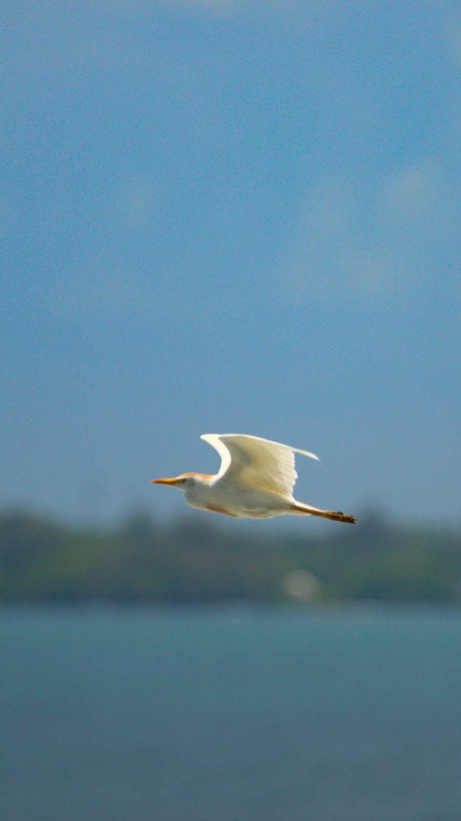 2025-06-06-111736==Nikon=D5600=1_1600=4.0=300.0mm=640_ISO=DSC_7382.jpg
