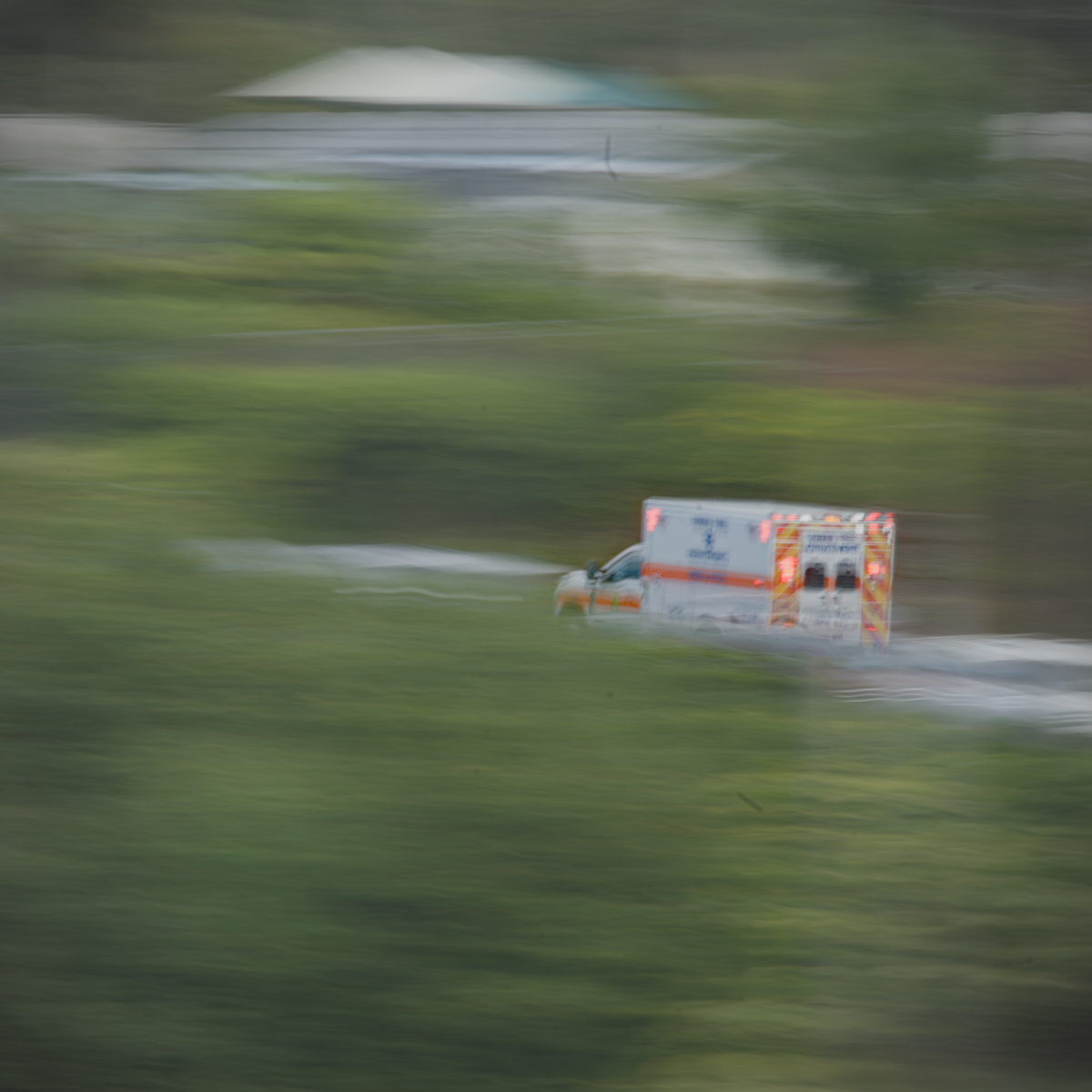 2025-07-14-153222-Z50_7477.jpg