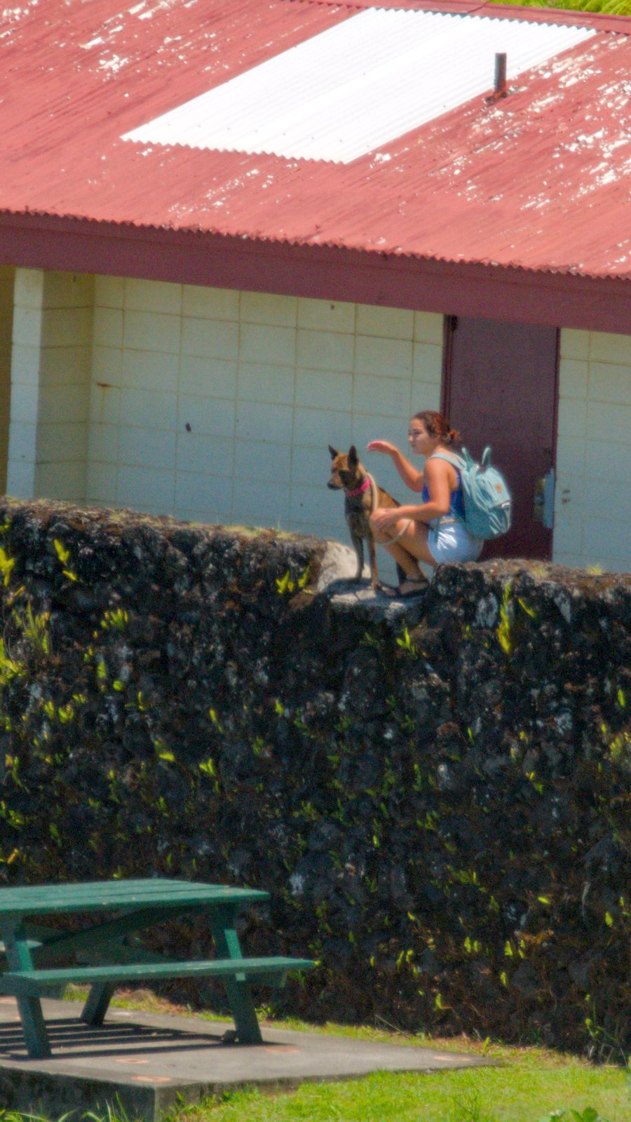 Girl with dog sitting on wall at Honolii