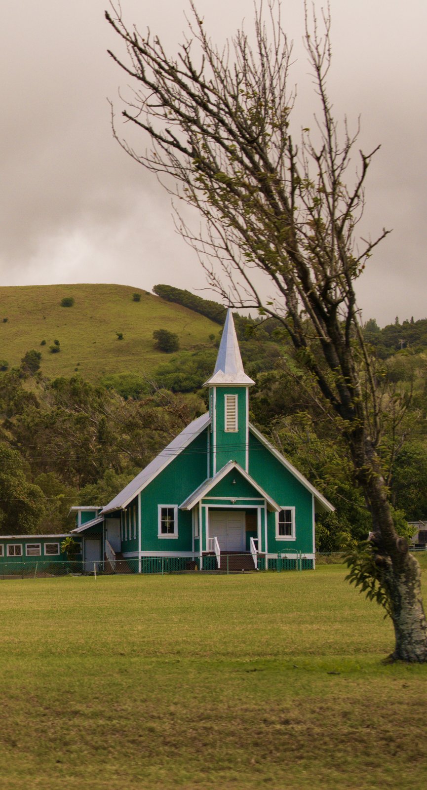 Hamakua road trip