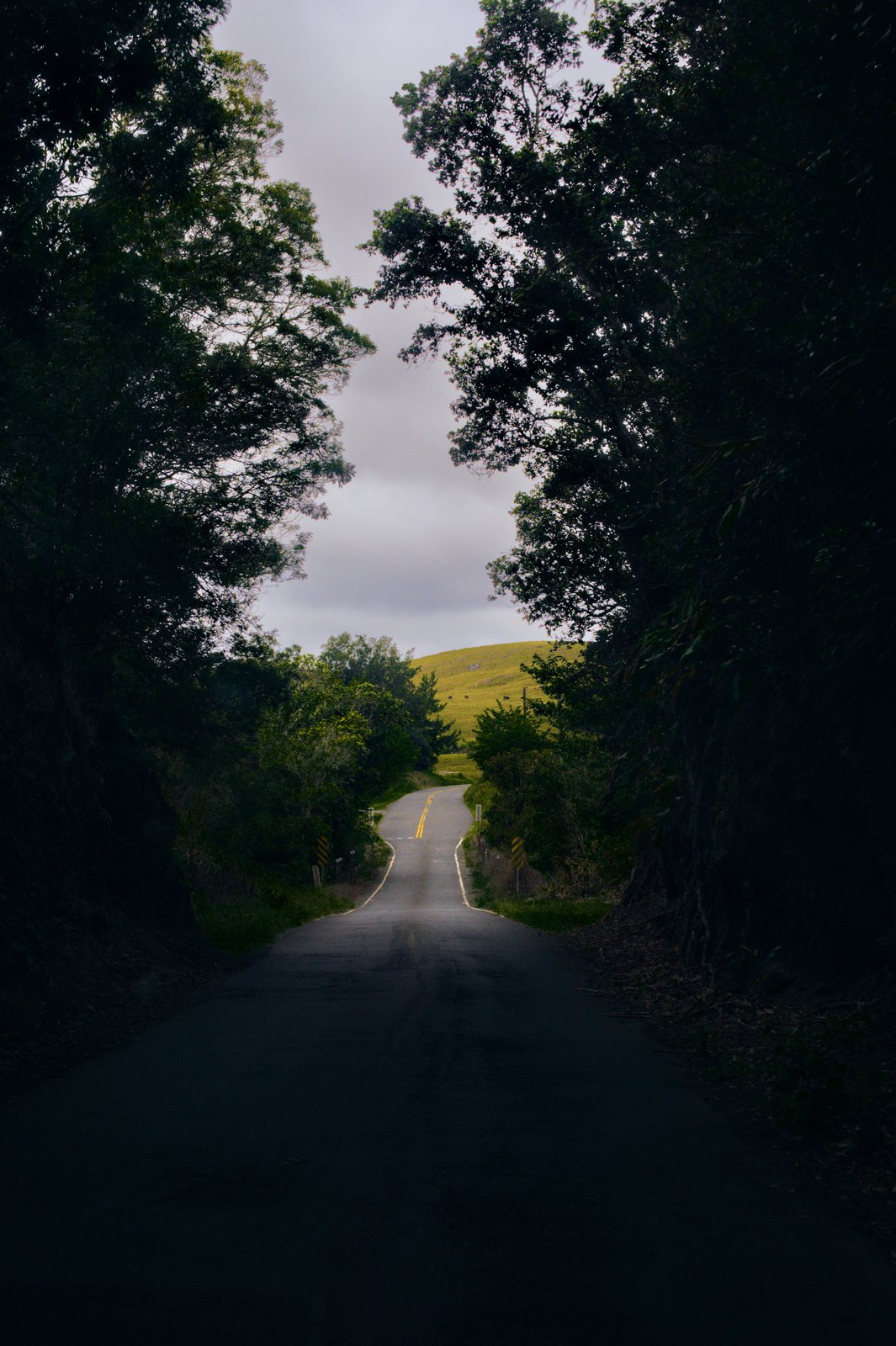 Hamakua road trip