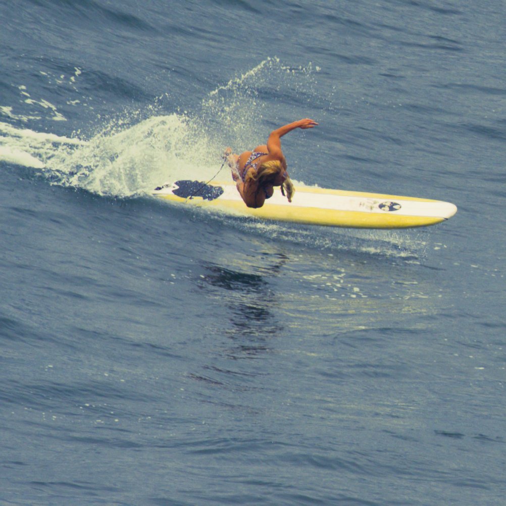 Surfer