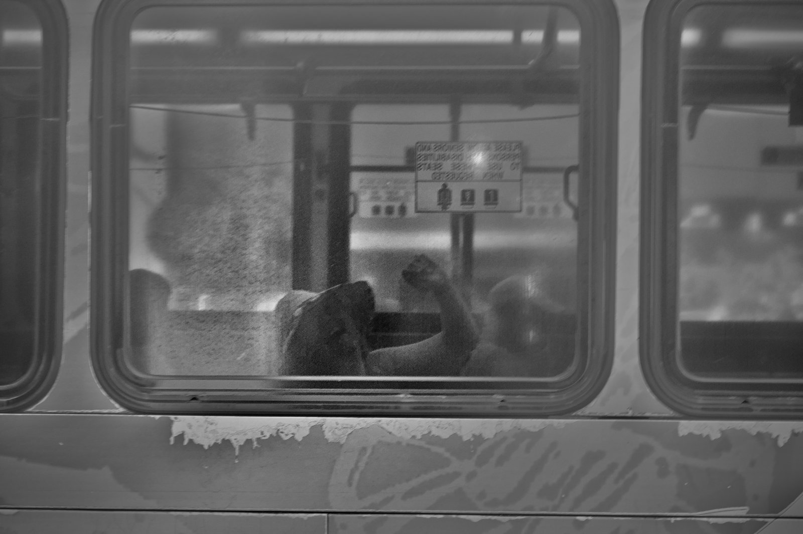 Amanda on The Bus