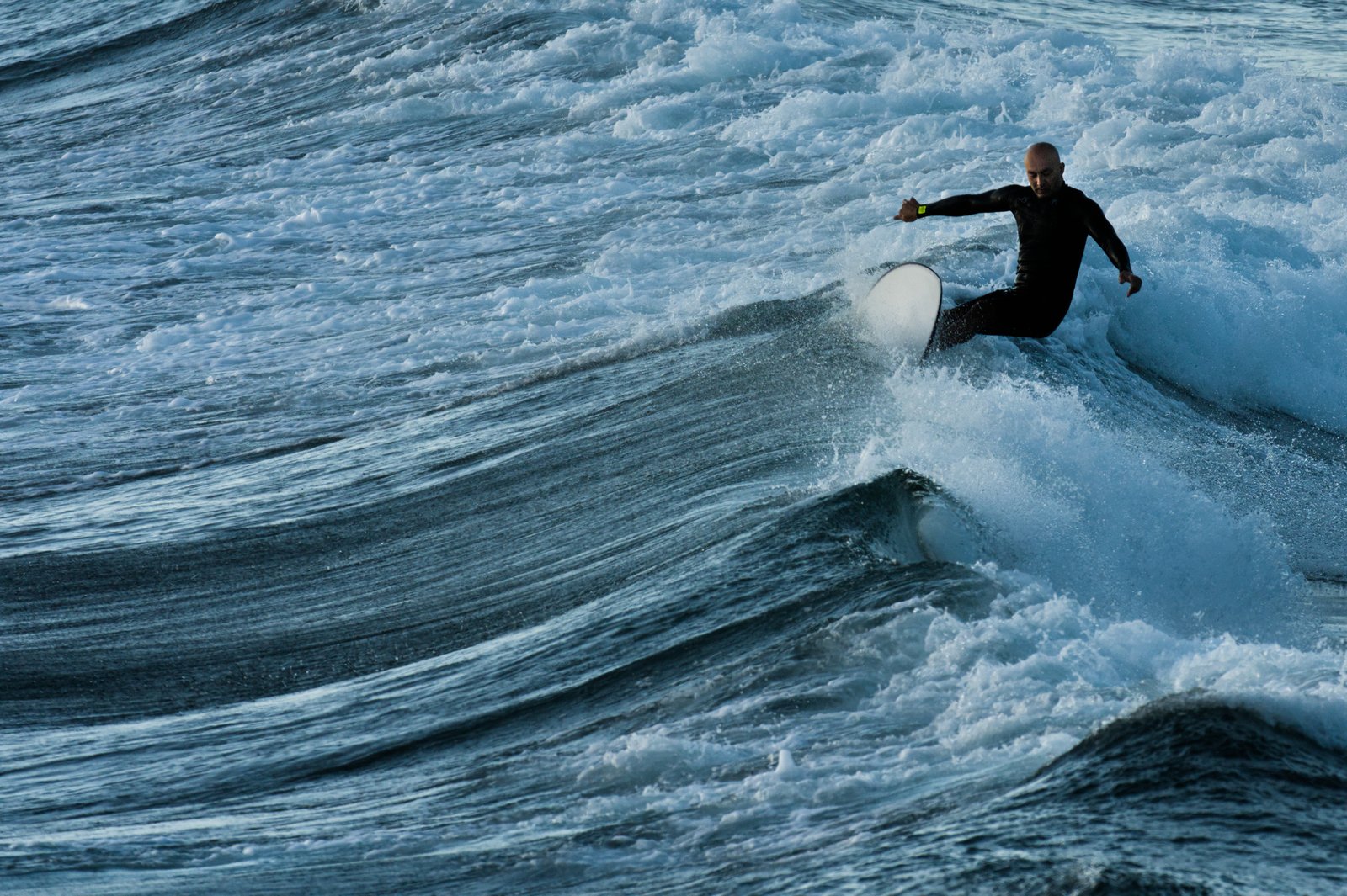 Bald and Beautiful Form