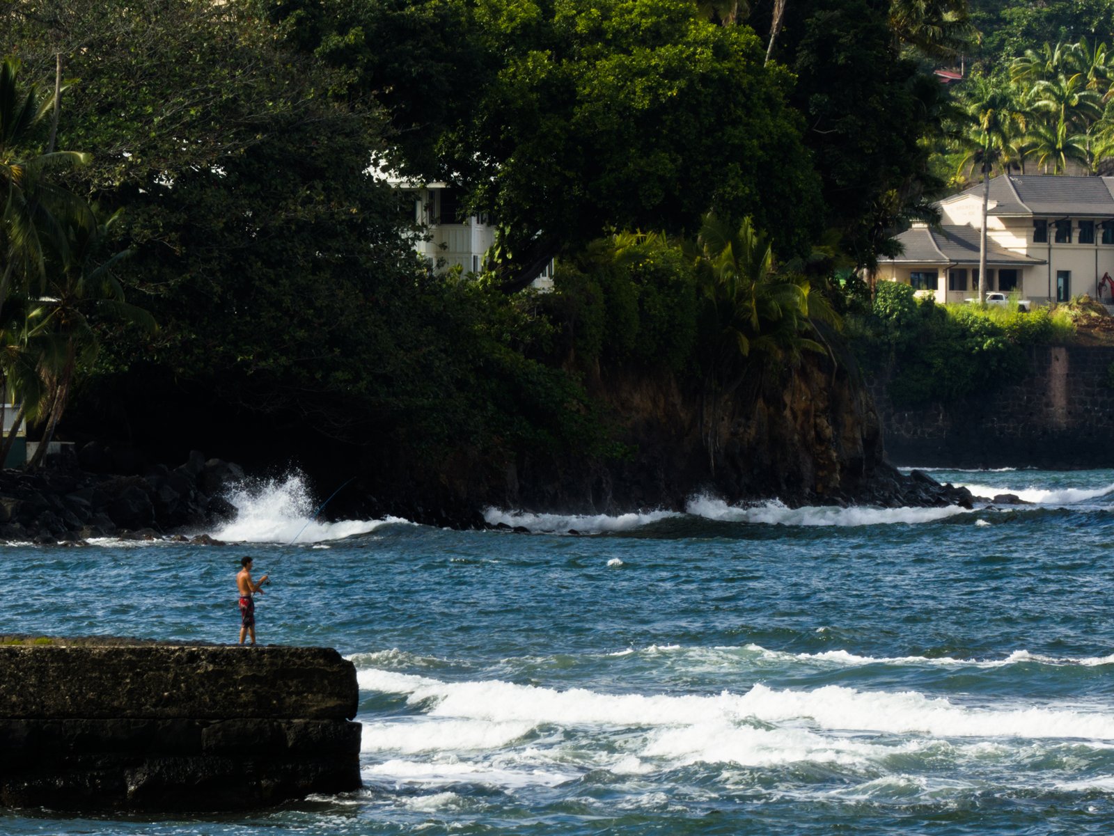 Fisher in Hilo