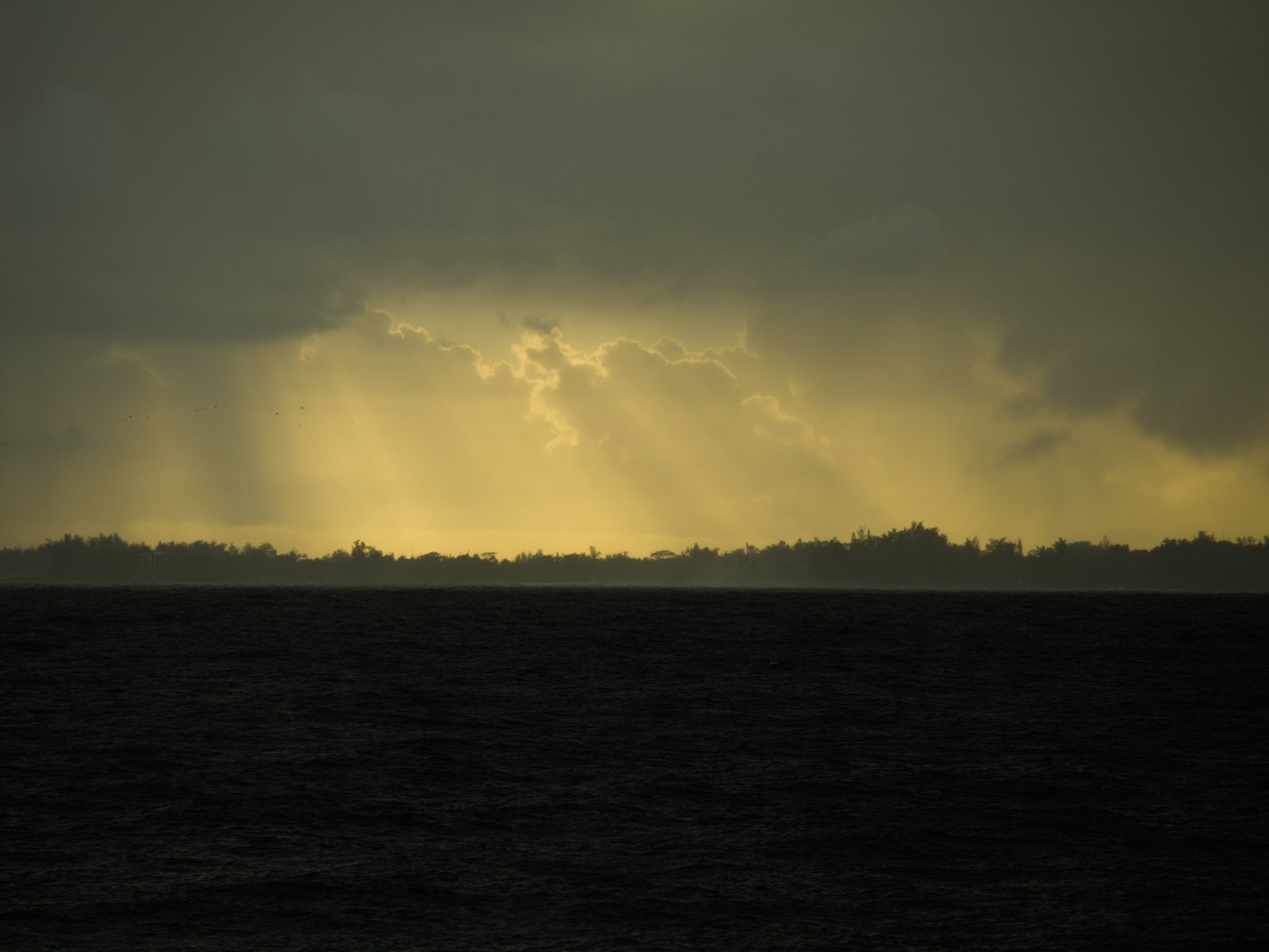 Sunbeams Over 4 Mile (Carlsmith)