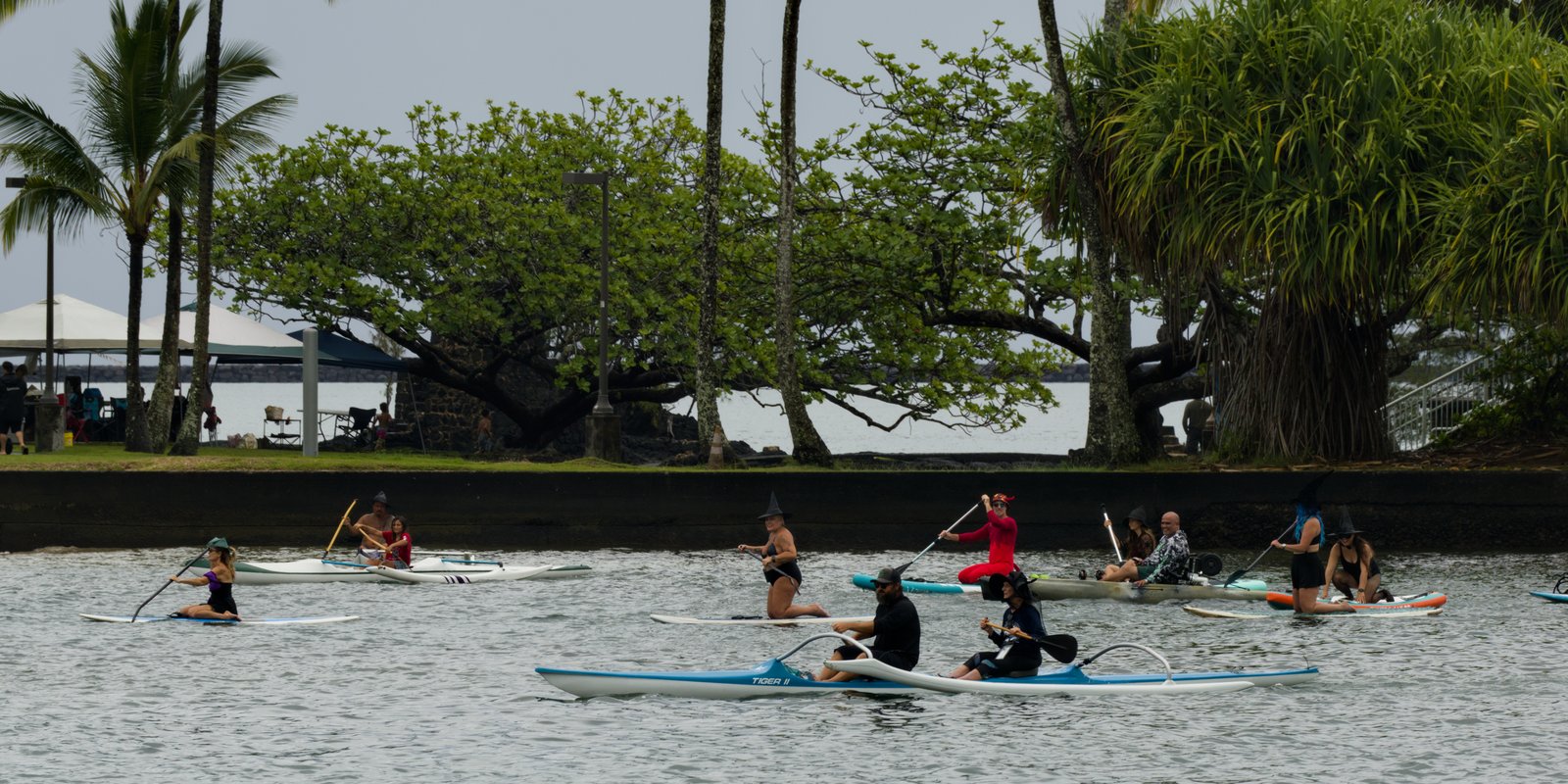 Casting a Spell on Coconut Island