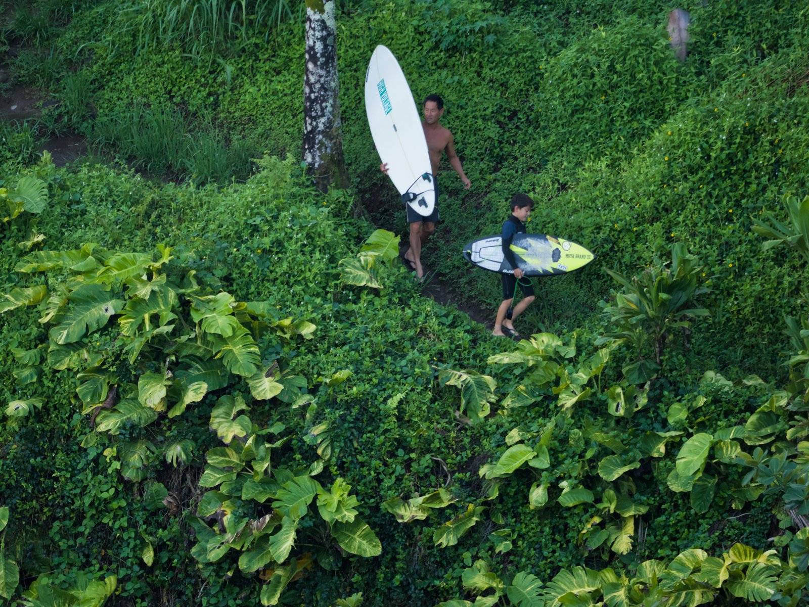 Back Way Down to The Beach