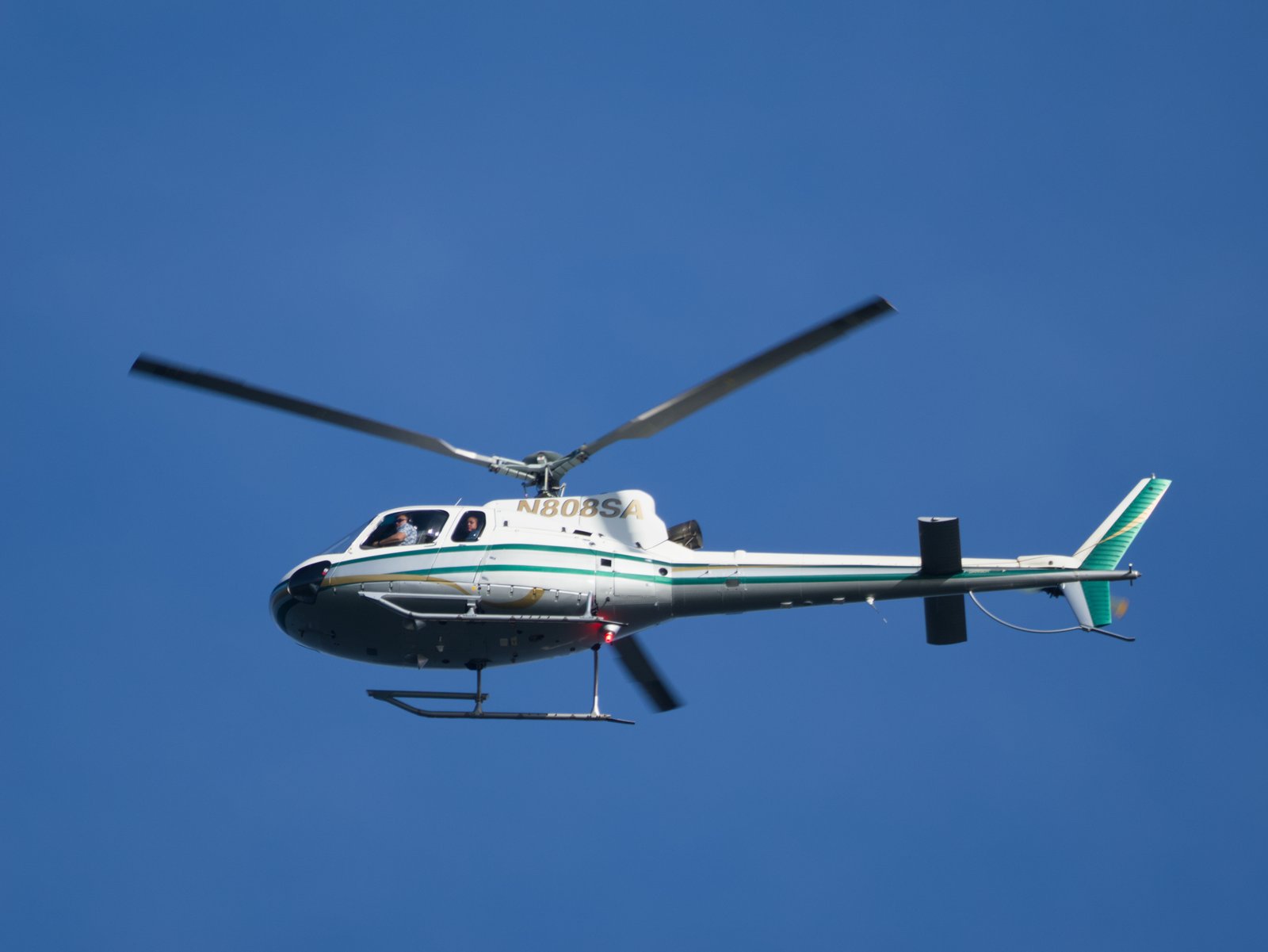 Lookin' At Tourists Lookin' At You