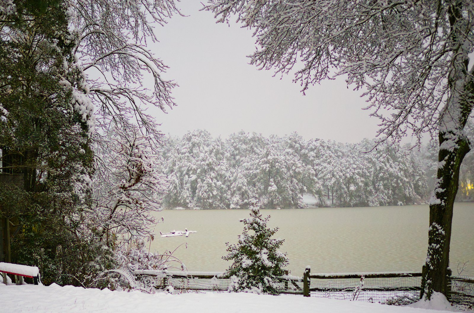 Snowy Morning