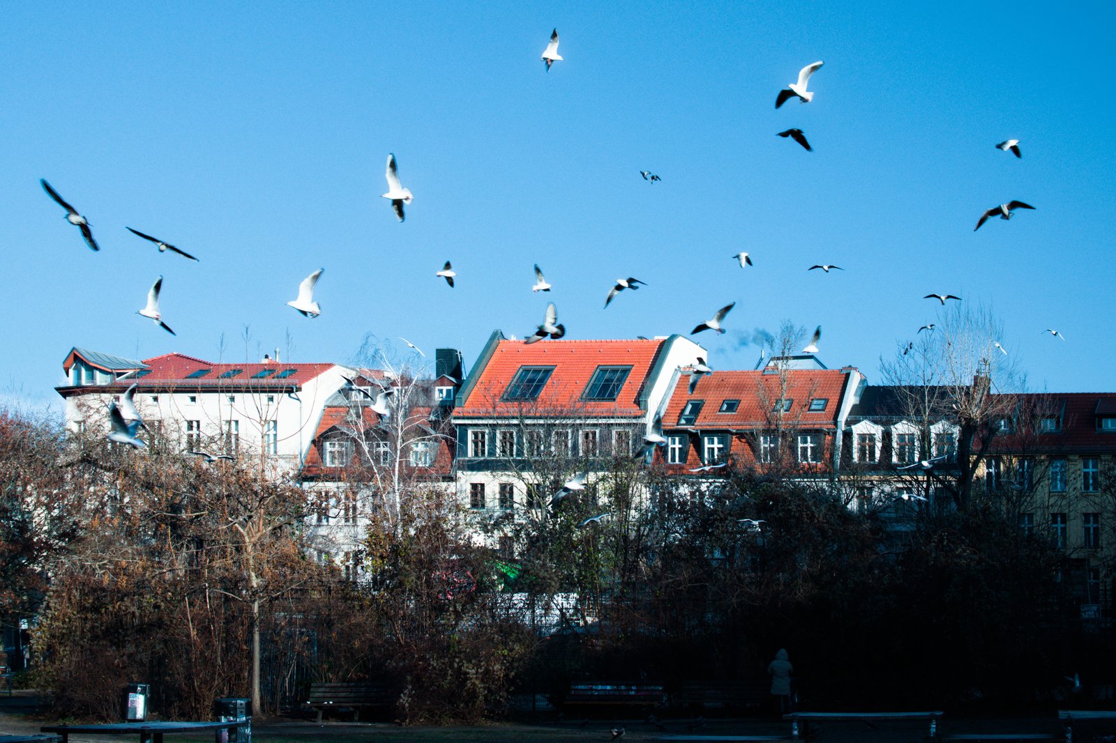 Birds in Bau - Spielplatz