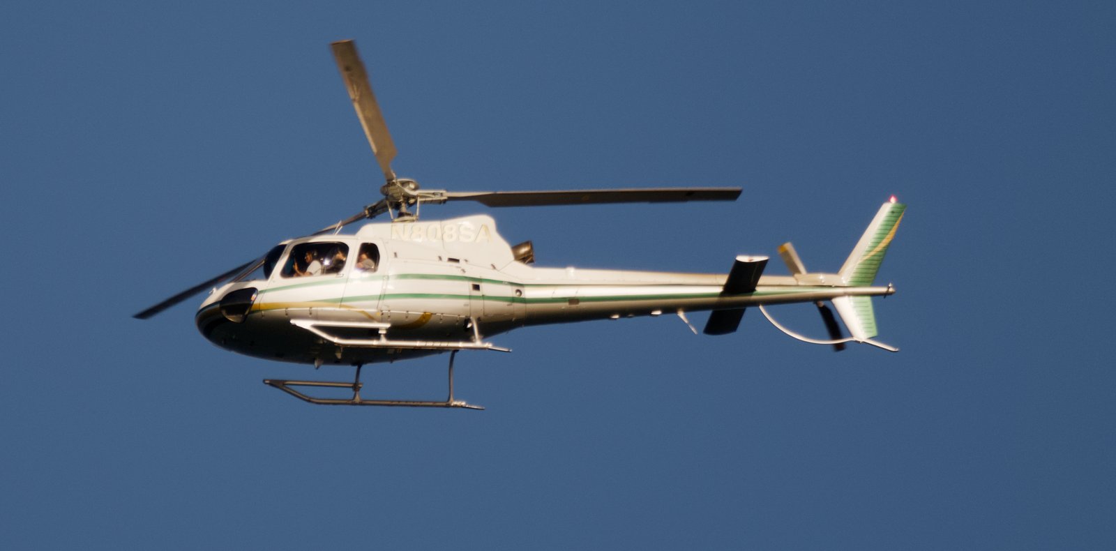 Who's Driving That Thing