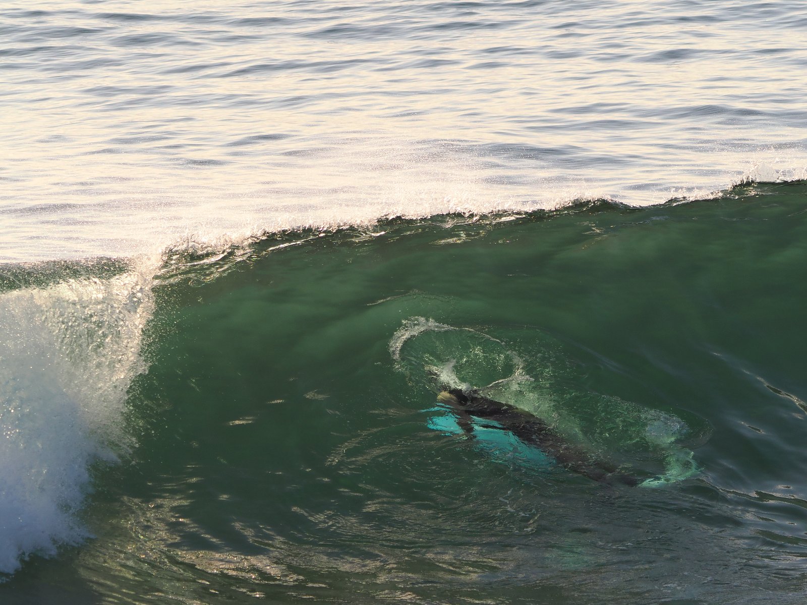 Duck Dive
